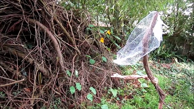 la mariée toute nue sans ses célibataires tout de même, épisode II