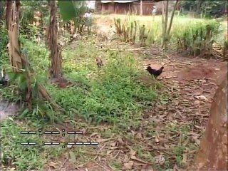 Qui cherche trouve - Épisode 10