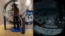 My Skyrim in VR - Cyberith Virtualizer   Oculus Rift   Wii Mote Cut