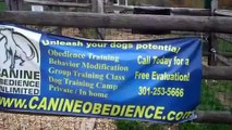 Dog Training in Maryland Welcome to Canine Obedience Unlimited @ Greenbriar