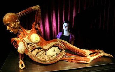 D.Science: Insan Bedeni - Kusursuz Makine