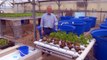 Greenhouse Aquaponics - From the Ground Up
