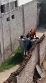 Very Dangerous Heavy Cow Qurbani on Bakra Eid - Video Dailymotion