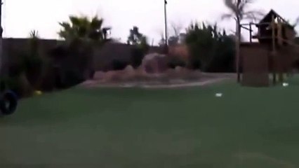 Hey, What s That Over There In That Backyard Pool