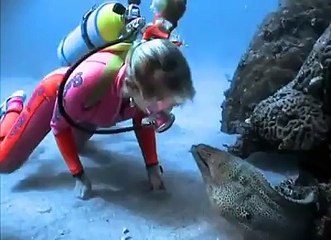 cute friendly fish