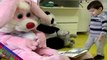 Scary Bunny Prank  Worlds Funniest Gags
