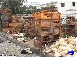 Five Children Injured in Traffic Accident on Karachi's Tipu Sultan Road