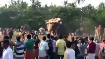 Elephant Attack at Koppara Nagaraja Temple kollam 12-05-2015