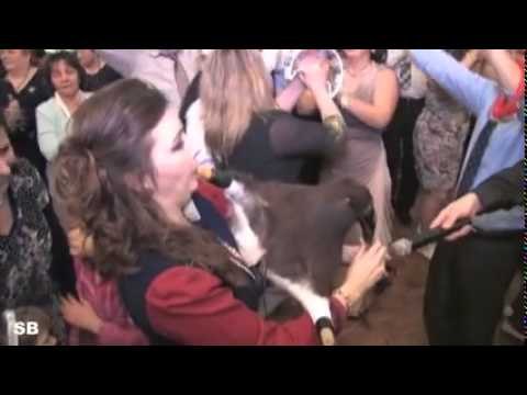 ELENA JOVCESKA - DOCEK 2015 CANADA TORONTO - GAJDA