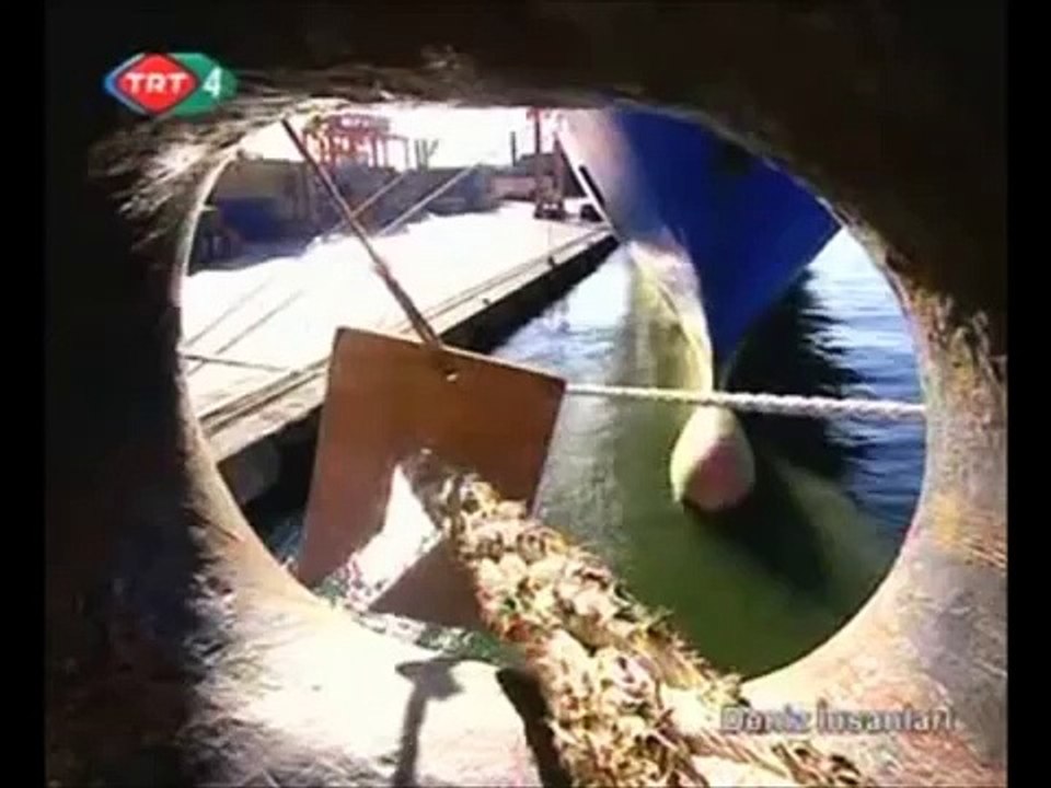 KAPTAN - GEMİ KAPTANI KİM Mİ ? - DENİZ İNSANLARI  KİM Mİ  ? DENİZDE YAŞAM NE Mİ ?