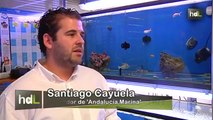 HDL: Jóvenes onubenses crean la única empresa española de cría de peces 'podólogos'