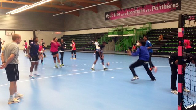 Une saison passionnante pour le FLeury Loiret Handball