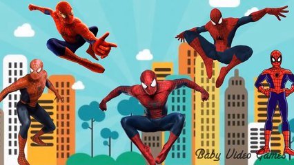 Spiderman Finger Family Songs _ Nursery Rhymes Kids Songs for Children (720p)_4