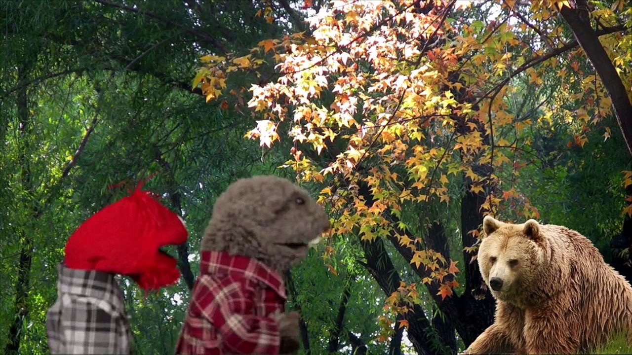 Ten Things You Shouldn't Do While Camping