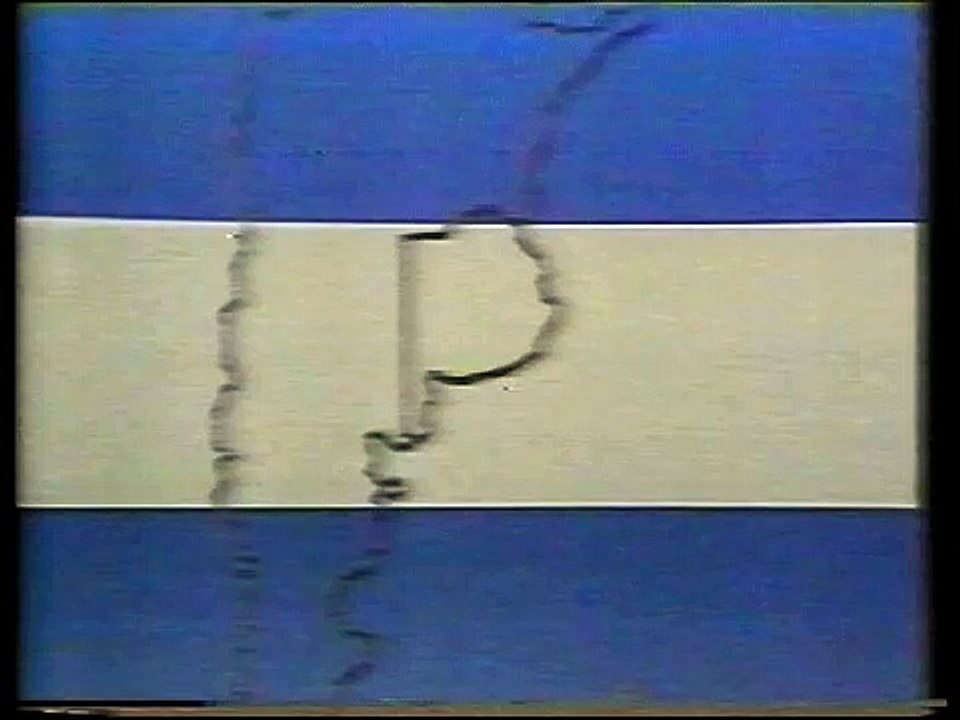 Herminio Iglesias 1983.avi