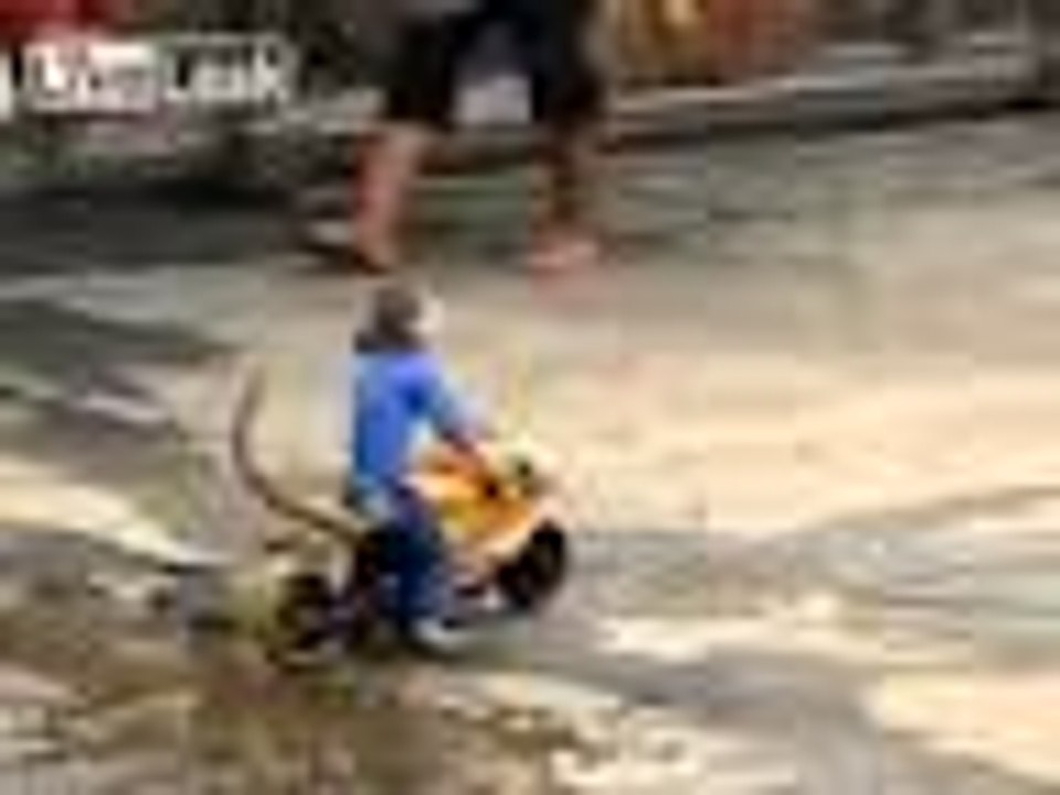 AMAZING- Monkey-is-riding-Race-motorcycle-accident