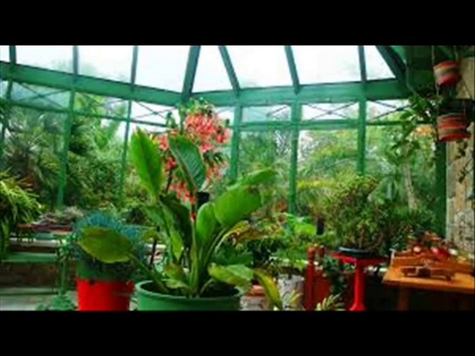 Chanson JARDIN D' HIVER