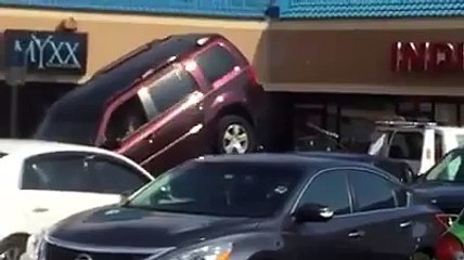 Il tente de s’échapper du camion de la fourrière