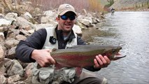 Fly Fishing for Monster Colorado Tailwater Trout 2010