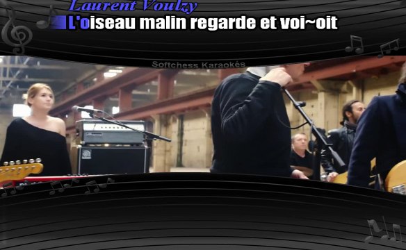 Laurent Voulzy et Alain Souchon - Oiseau malin