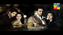 Tumharay Siwa Episode 2 On HUM TV 28 August 2015