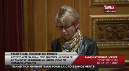 Projet de loi sur la Transition énergétique - En séance