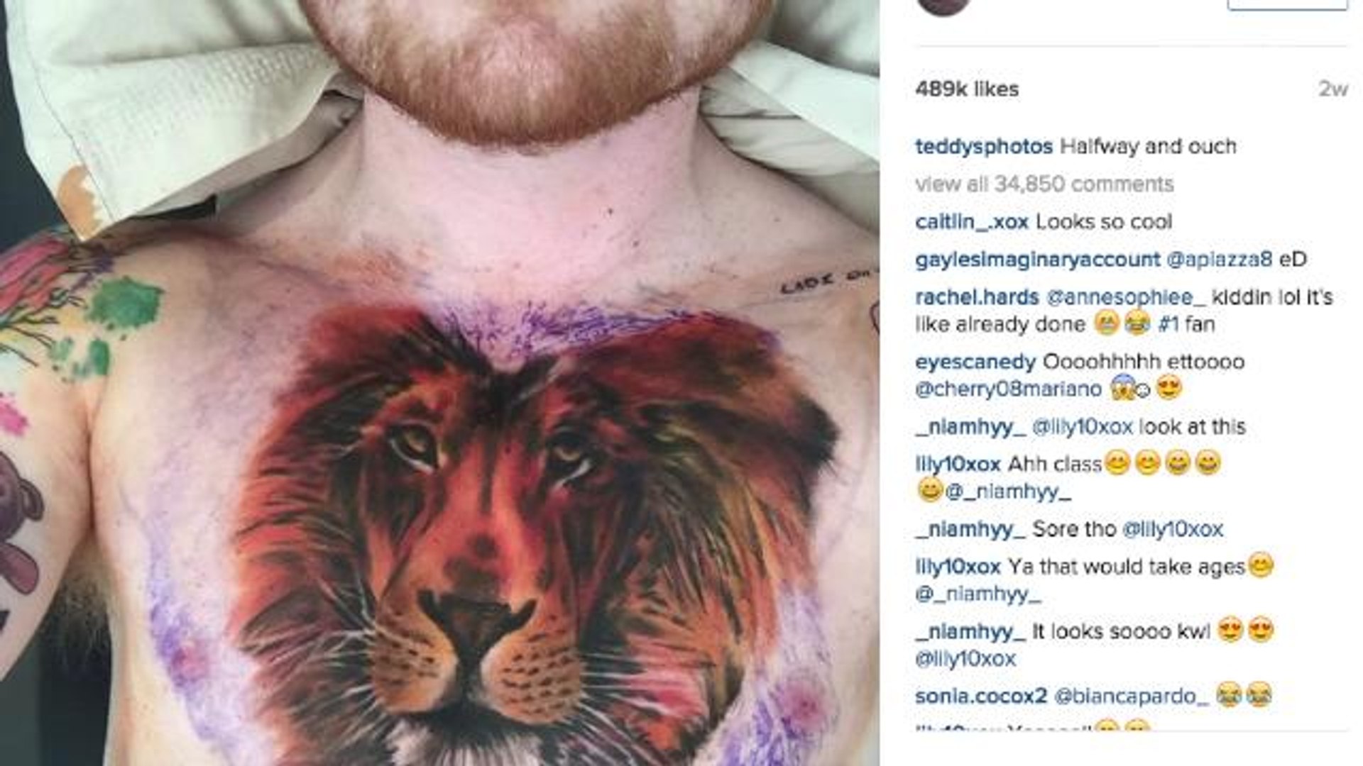 Ed Sheeran tricks fans with lion chest tattoo