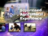 SAE - Supervised Agricultural Experience