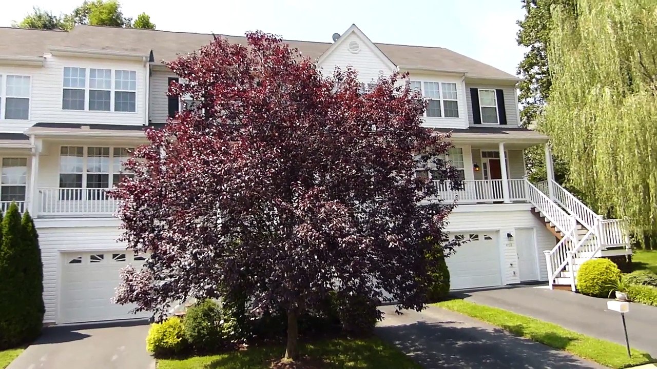 4756 Blue Jay Way Charlottesville VA 22911