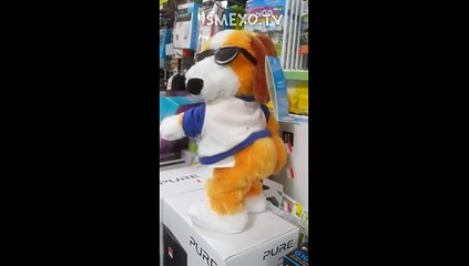 Toy dog dancing twerk