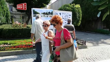 Iesenii vor teii replantati pe Stefan cel Mare