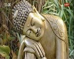 kreuz und quer -- Sterben und Leben nach Buddha (2007, Dokumentation, TV-Rip, German-Deutsch).avi