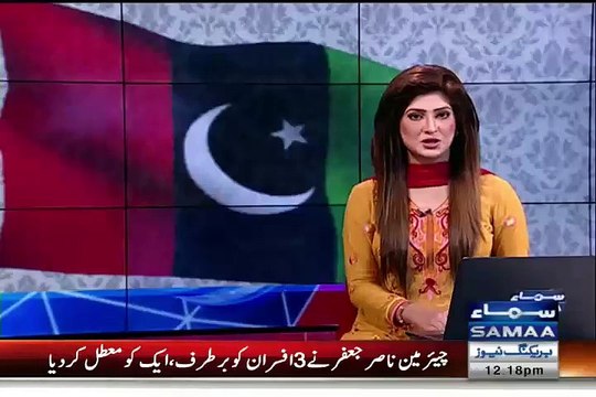 PPP leadership to EXPOSE mega corruption of Hamza Shahbaz poultry business & Metro project