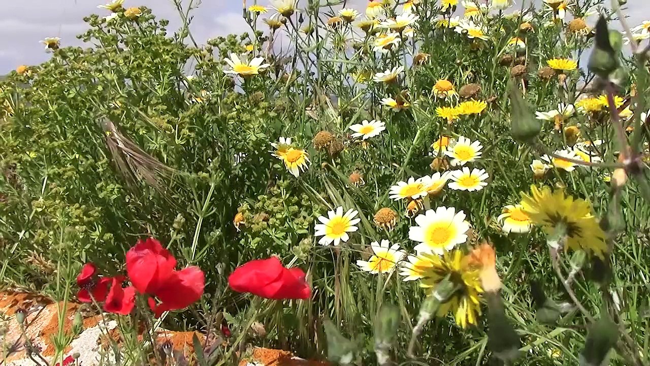 Adeliya's guide to Ibiza! Girl!Travel!Club!Sport!Fun!