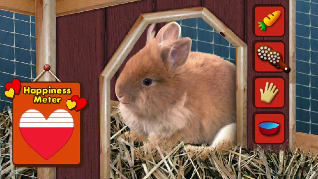 Chica Show Match Up with Bunji Cartoon Animation Sprout PBS Kids Game Play Walkthrough