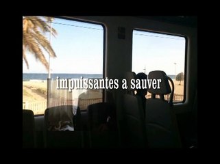 Учебный фильм 1