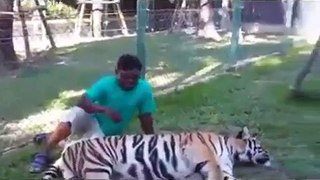 Greatest tiger attacks ever caught on camera