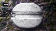 WWII Relic Hunting -- Metal Detecting Hidden WW2 Treasures Eastern