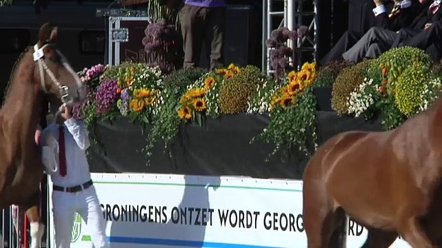 Groningens Ontzet: een dag vol tradities - RTV Noord