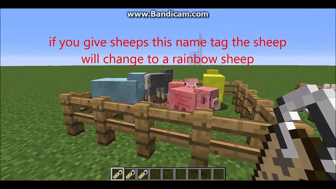 Minecraft name tag secrets