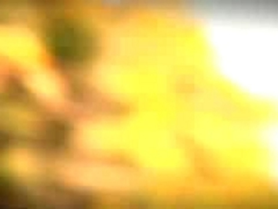 Dennis Busenitz - Skate