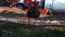 Parco dei cani - GTA 5 PS4