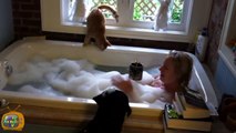 Funny Cats In Water Compilation - Funny Cat Fails - Funny Videos - Funny Cat Bathing Compilation