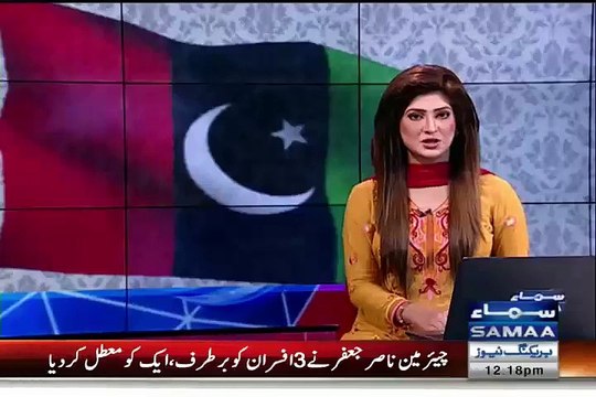 PPP leadership to EXPOSE mega corruption of Hamza Shahbaz poultry business & Metro project