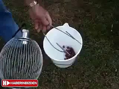 fındık toplama makinası son icat