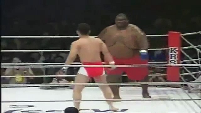 sumo wrestler Vs MMA Fighter
