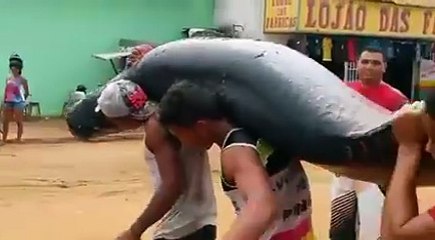 OMG!! Monsters of the sea