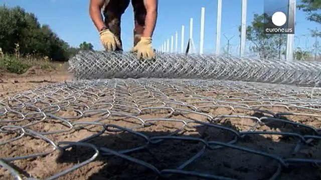 Reportage: Euronews in Ungheria, al muro antimigranti