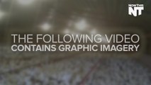 Horrific Animal Abuse At McDonalds' Chicken Supplier