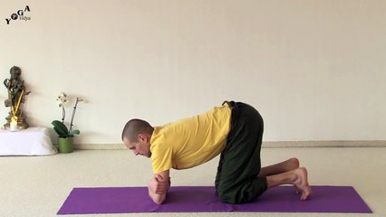 Yoga for beginners – Yoga Scorpion